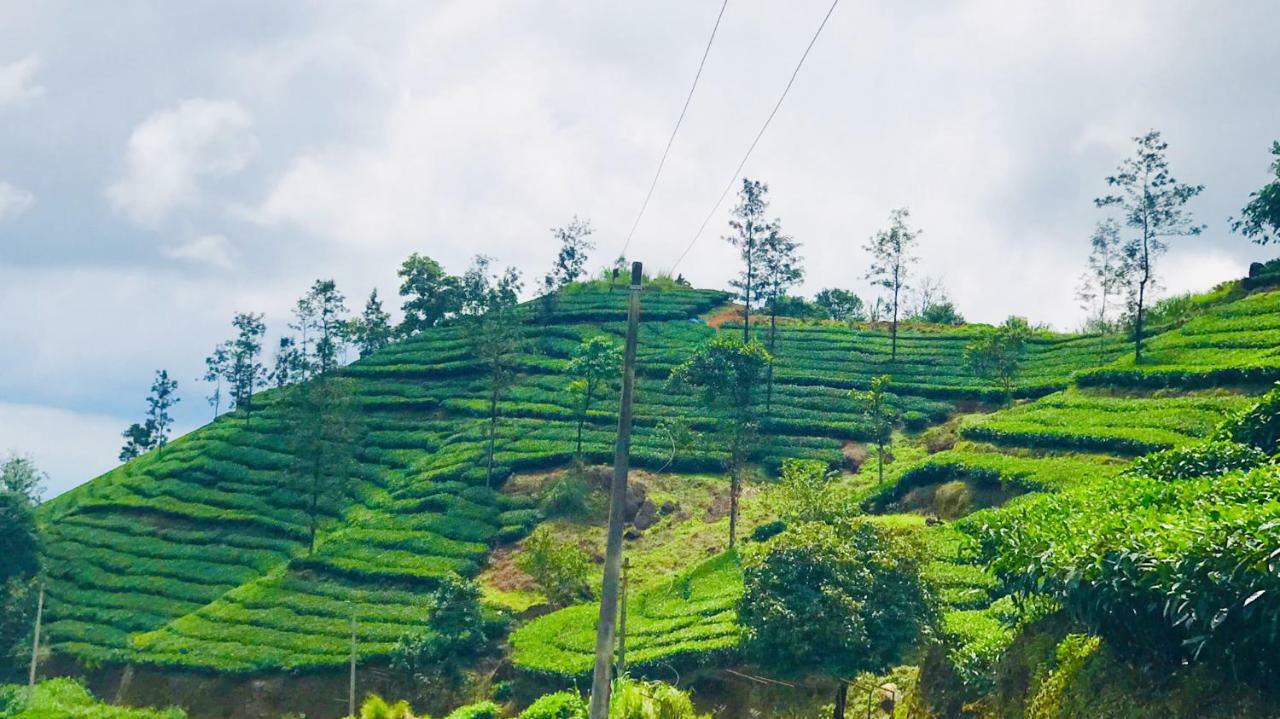 Tabor Hills Resort Vagamon Bagian luar foto