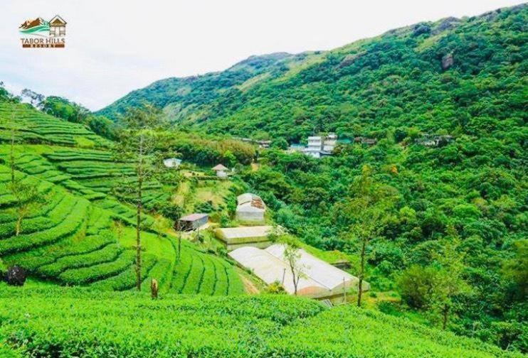 Tabor Hills Resort Vagamon Bagian luar foto